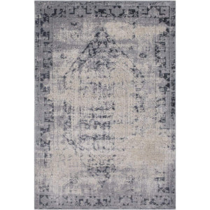 Surya Durham DUR-1009 Area Rug - Fifth and Modern