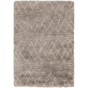 Surya Rhapsody RHA-1032 Area Rug - Fifth and Modern